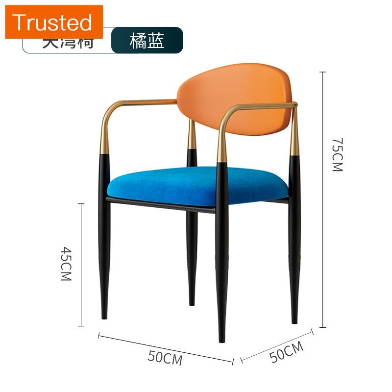 Multiple Variations Nordic light luxury restaurant eat chair contemporary and contracted household book chair makeup chair chair hotel conference chair