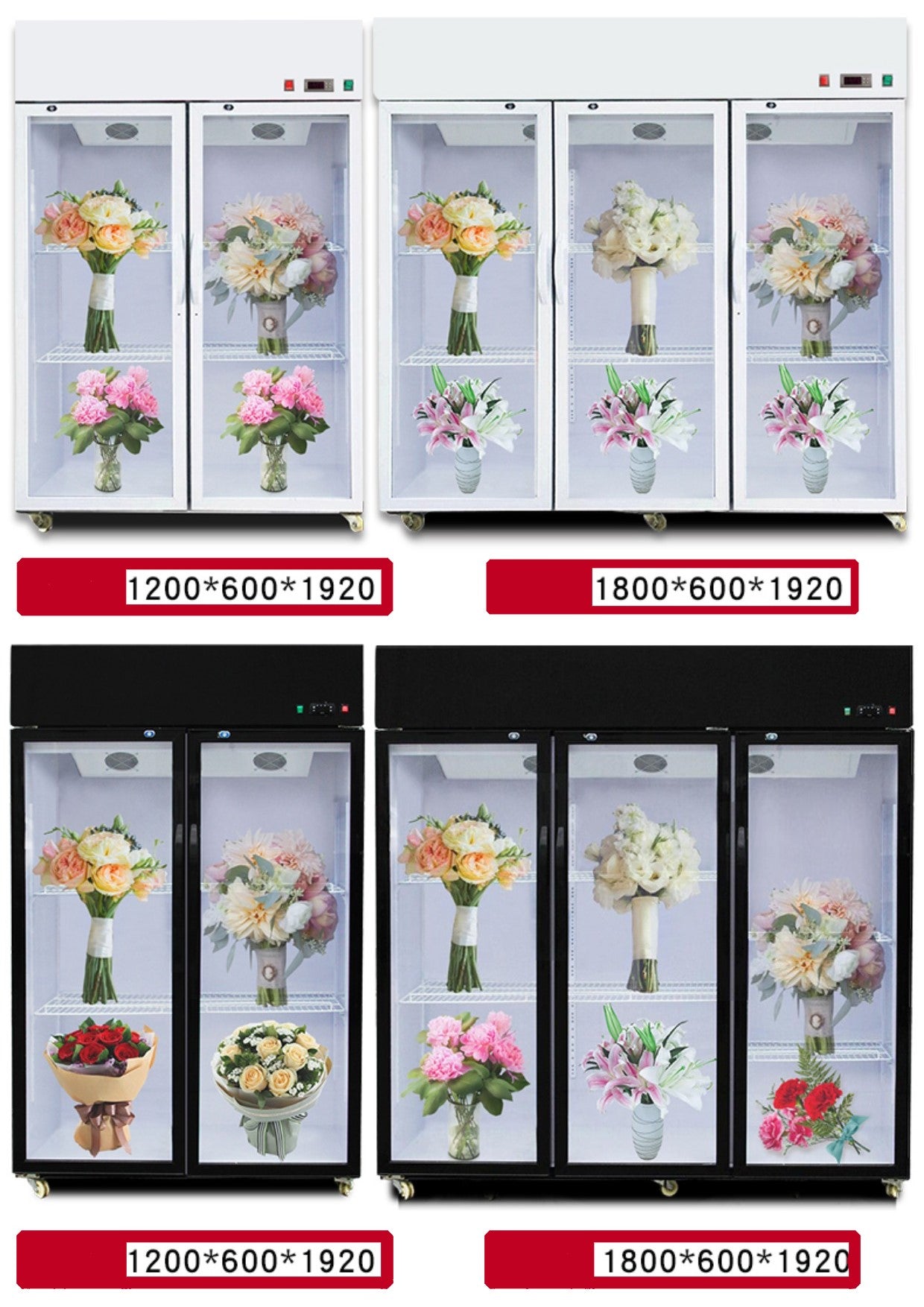 MULTIPLE VARIATIONS Flower preservation cabinet