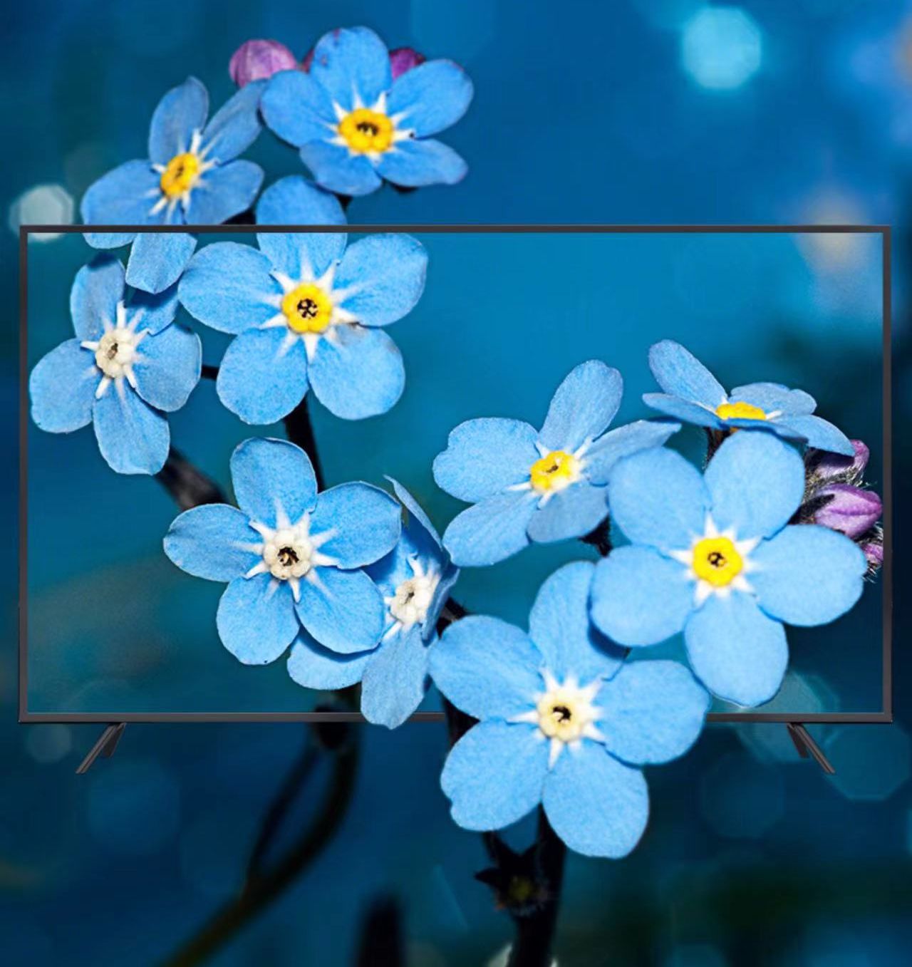 Multiple Variations KTV Hotel 55/65/75/80/100-inch ultra-clear voice network explosion-proof large-screen LCD TV"