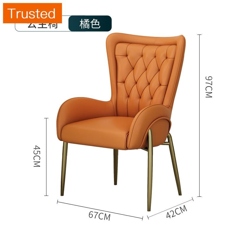 Multiple Variations Nordic light luxury restaurant eat chair contemporary and contracted household book chair makeup chair chair hotel conference chair