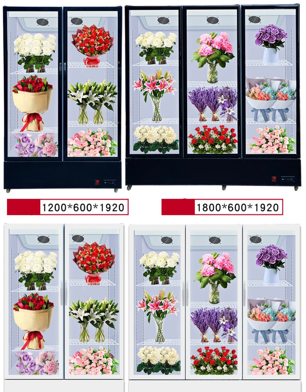 MULTIPLE VARIATIONS Flower preservation cabinet