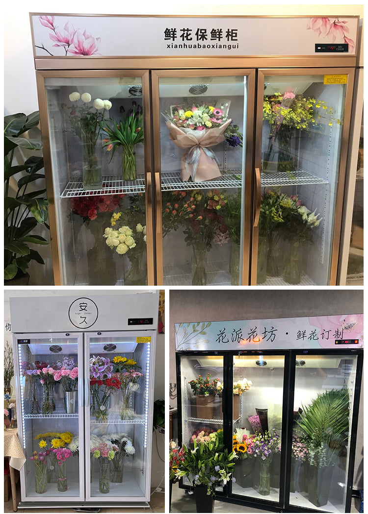 MULTIPLE VARIATIONS Flower Cabinet Refrigerated Preservation Cabinet