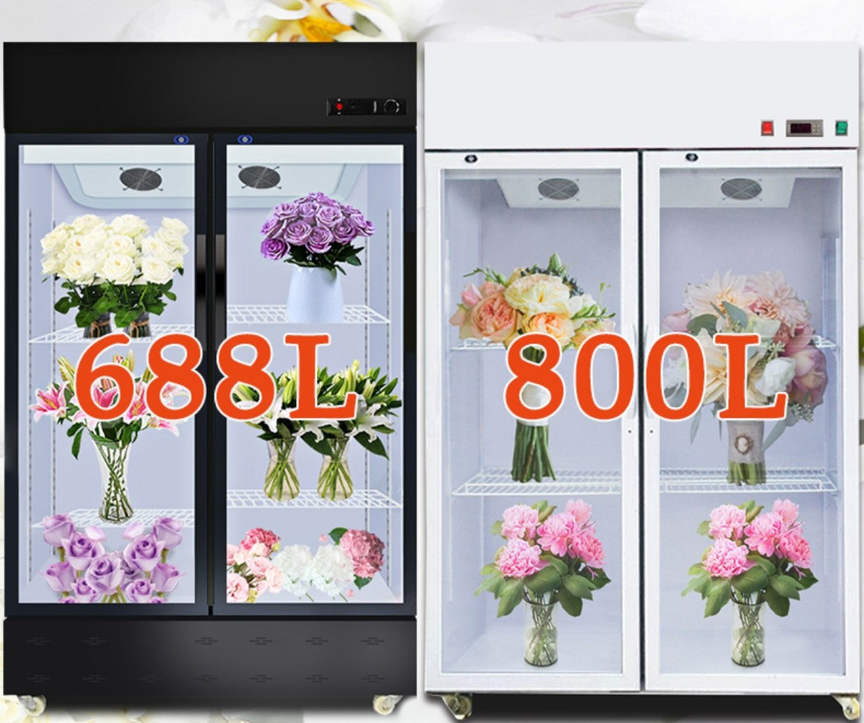 MULTIPLE VARIATIONS Flower preservation cabinet