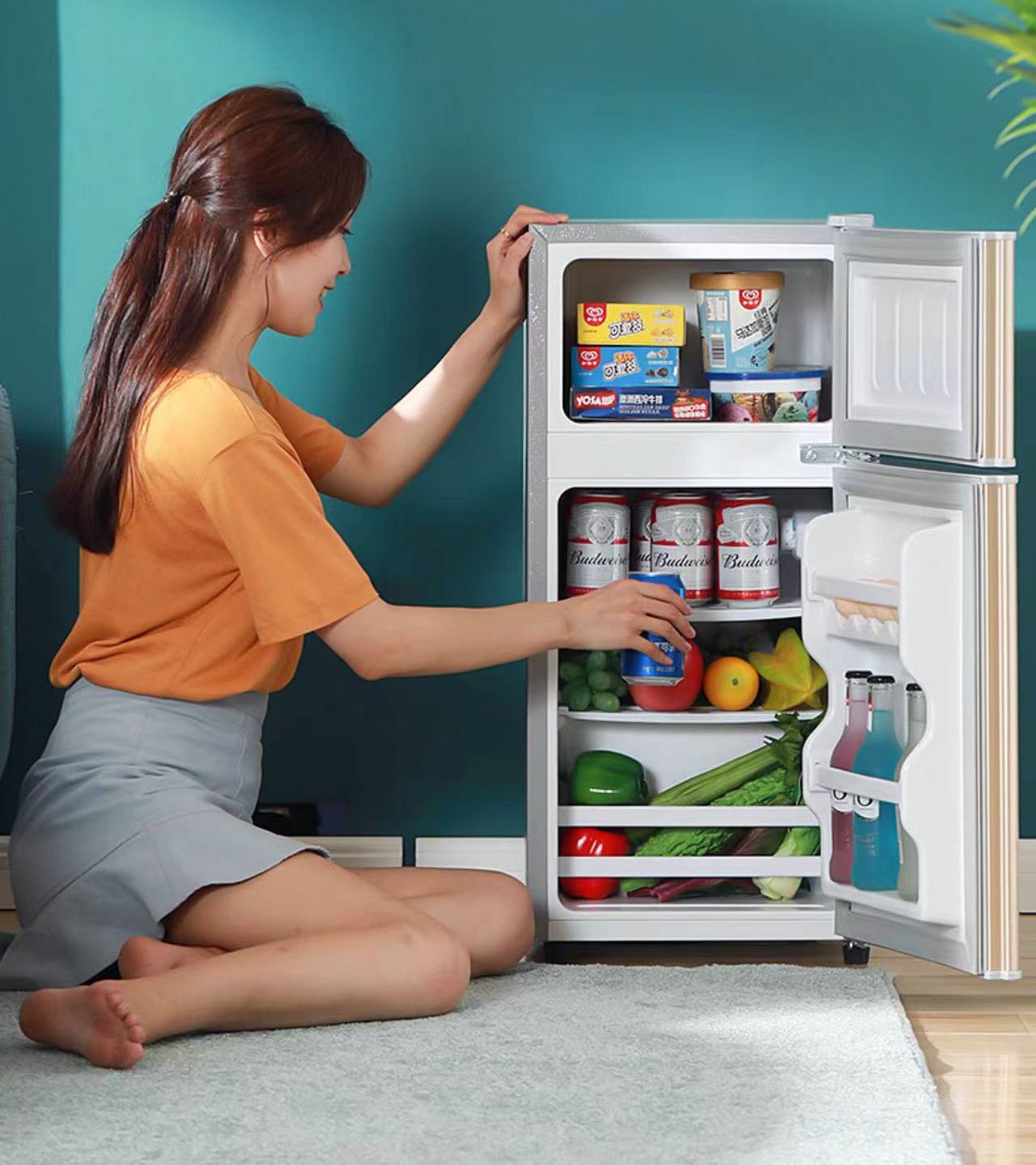 Multiple Variations Small mini refrigerator first-class energy efficiency